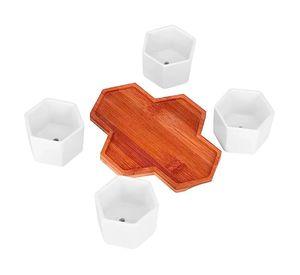 Macetero Suculentas Macetas Ceramica Hexagonal Blanco