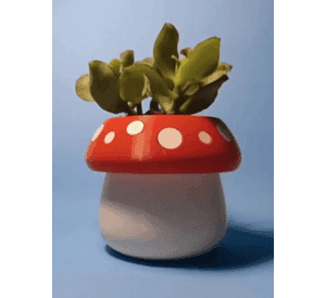 Mini maceta - Honguito