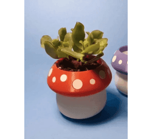 Mini maceta - Honguito