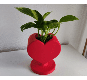 Macetero en forma de corazón