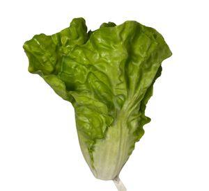 VEGETAL DECORATIVO LECHUGA COSTINA 17CM COREL
