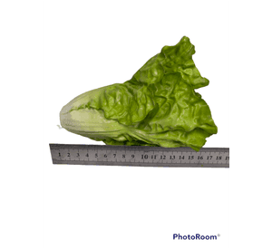 VEGETAL DECORATIVO LECHUGA COSTINA 17CM COREL