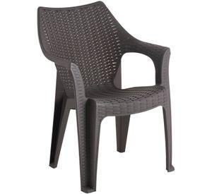 Silla Aruba Rattan Terraza Camping Apoyabrazos