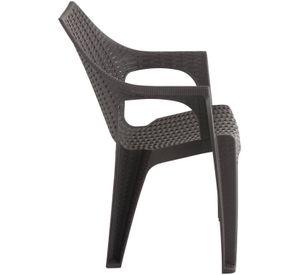 Silla Aruba Rattan Terraza Camping Apoyabrazos