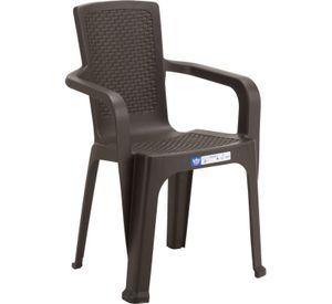 Silla Comedor Terraza Camping Rattan Apoyabrazos