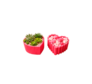Maceteros corazones minimalistas (pack 2 un)
