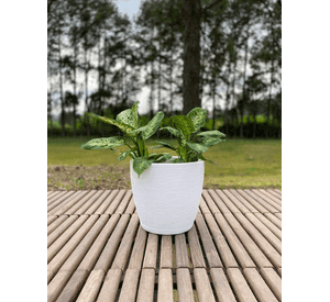MACETERO FLORIDIS AMSTERDAM BLANCO 28CM DE ALTO