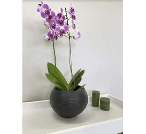 MACETERO FLORIDIS FLORENCIA NEGRO 19CM CON PLATO