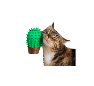 Rascador Para Gatos - Figura De Cactus
