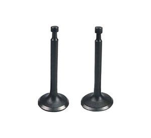 Válvulas De Admisión Y Escape Motor Gx120
