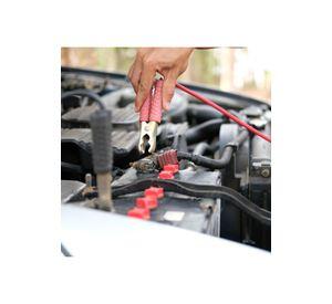 Cargador Batería Auto Moto 6/12 V 6 AMP