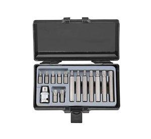 Juego Puntas Torx Force T20 a T55 - 15 Piezas