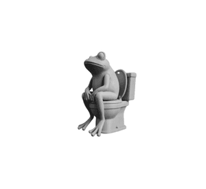 Figura Decorativa Prints Patro- Rana Inodoro