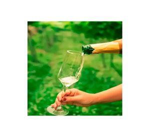 Juego de 6 copas de champagne, 225 ml, Brunello Nadir