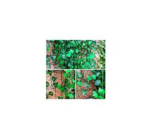 Set 36 Tiras Planta Artificial Enrredadera 2.1m De