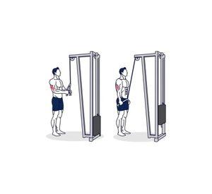 Cuerda Triceps Doble Para Polea Nuevo Raciness