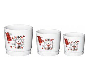 Set 3 Macetero Decorativo Diseño Gato Suerte Armonía Jhn