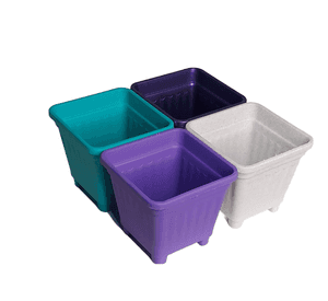 Pack 50 Unidades Macetero Cuadrado 10 Cm Colores