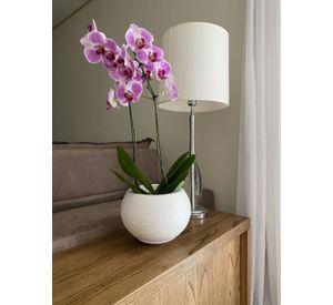 MACETERO FLORIDIS FLORENCIA BLANCO 19CM CON PLATO