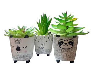 Set 2 Macetas Pequeñas Plantas Cactus Decoracion Hogar Lau