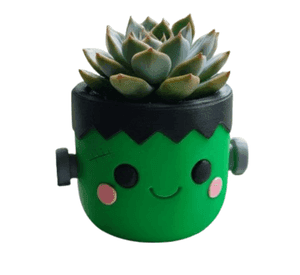 Macetero - Diseño Frankenstein
