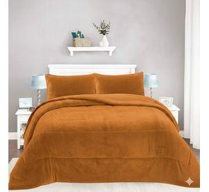 Cobertor de Invierno Premium - Plush 2 .Plazas FYA