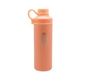 SHAKER METALICO PRINCESAS 500 ML disney
