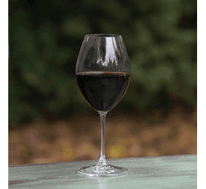 RIEDEL SET 2 COPAS VINUM XL SET SYRAH/CARMENERE VALUE GIFT