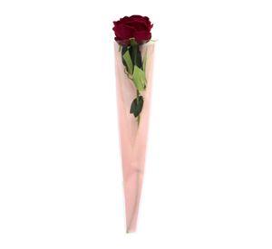 ENVOLTORIO ROSAS BE FLOWER ROSADO ROSADO X50UNI