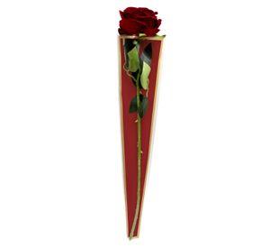 ENVOLTORIO ROSAS BE FLOWER BURDEO X50UNI