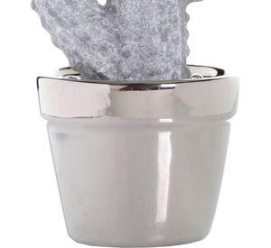 Figura Decorativa Cactus Gancho Cerámica Concreto