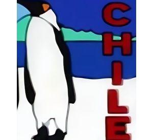 Pack 4 Goma Iman Pinguino
