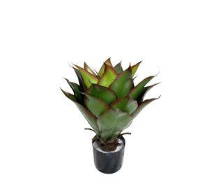 Agave de 56cm con UV
