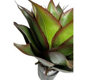Agave de 56cm con UV
