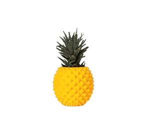 Macetero diseño piña