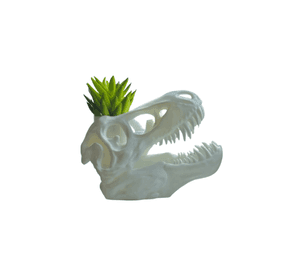 Macetero Prints Patro- T-Rex Esqueleto