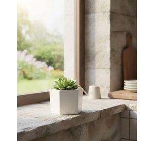 Set 8 Macetero Decorativo Moderno Diseño Geométrico Jhn