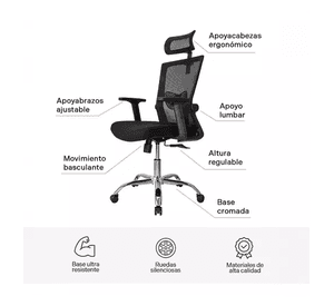 Silla de oficina presidente Ergonomus Delphi base cromada color negro