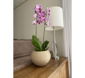 MACETERO FLORIDIS FLORENCIA BEIGE 19CM CON PLATO