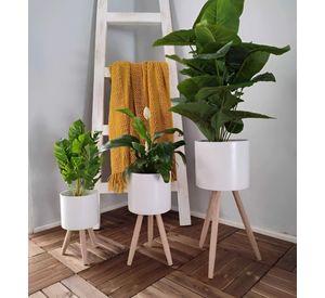 Set Macetas Planta Patas Interior Exterior Flores Blanca Jhn