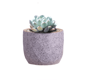 Macetero Geométrico Cerámica Suculentas 72x6cm Pack 10 Azul
