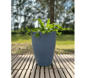 MACETERO FLORIDIS AMSTERDAM GRAFITO 44CM DE ALTO