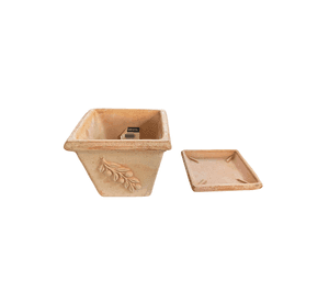 Set Maceta Cuadrada 25 con Relieve Oliva con plato