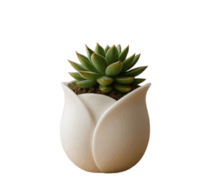 Macetero - Diseño Tulipán