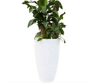 MACETERO FLORIDIS AMSTERDAM 65CM DE ALTO