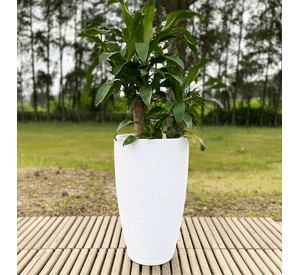 MACETERO FLORIDIS AMSTERDAM 65CM DE ALTO