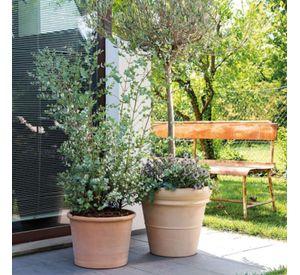 Maceta Extra Grande Toscana 42cm Terracota
