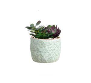 Macetero Geométrico Cerámica Suculentas 7.2x6cm Pack 10 Verde