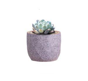 Macetero Geométrico Cerámica Suculentas 7.2x6cm Pack 10 Verde