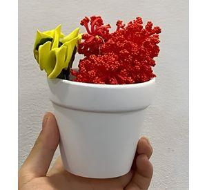 Set 6 Macetero Mini Suculentas Jardinería Cultivo Jhn
